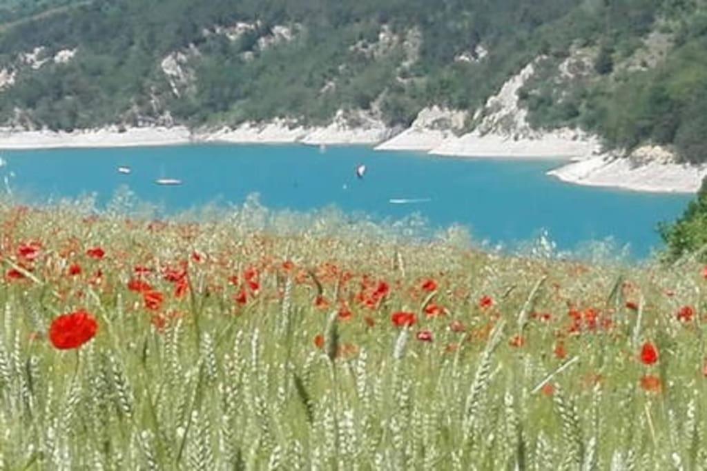 Gite De Charme : La Grange Au Lac Azur Treffort  エクステリア 写真
