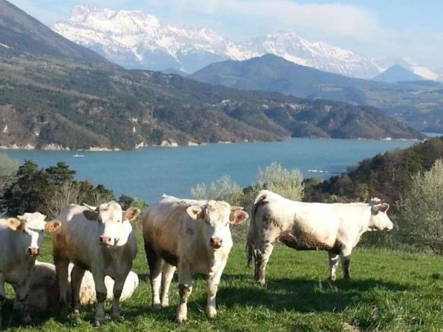 Gite De Charme : La Grange Au Lac Azur Treffort  エクステリア 写真